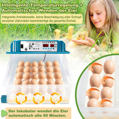 Lospitch Brutautomat 36 Eier vollautomatisch mit LED Eierbeleuchtung