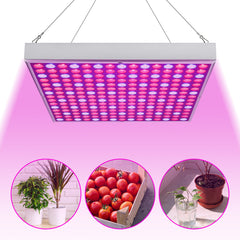 Lospitch LED Pflanzenlampe Vollspektrum für Zimmerpflanzen