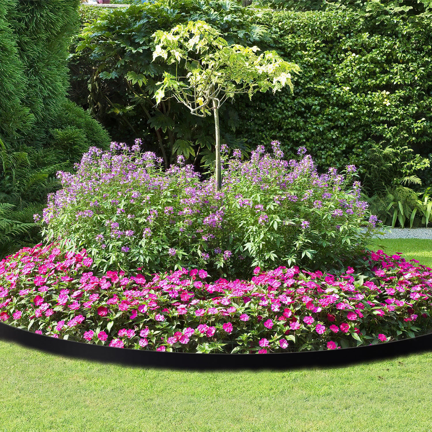 Lospitch Flexible PVC Rasenkante für Garten und Beet
