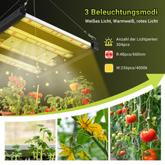 Lospitch LED Pflanzenlampe 150W Vollspektrum dimmbar für Growzelt