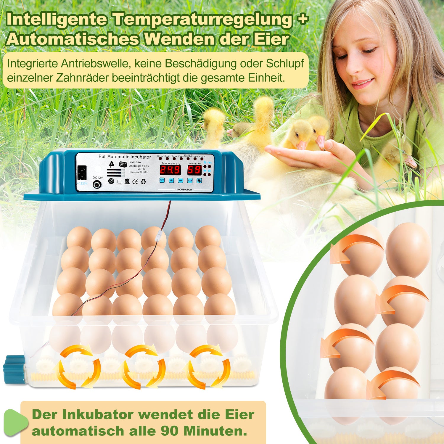 Lospitch Brutautomat 36 Eier vollautomatisch mit LED Eierbeleuchtung