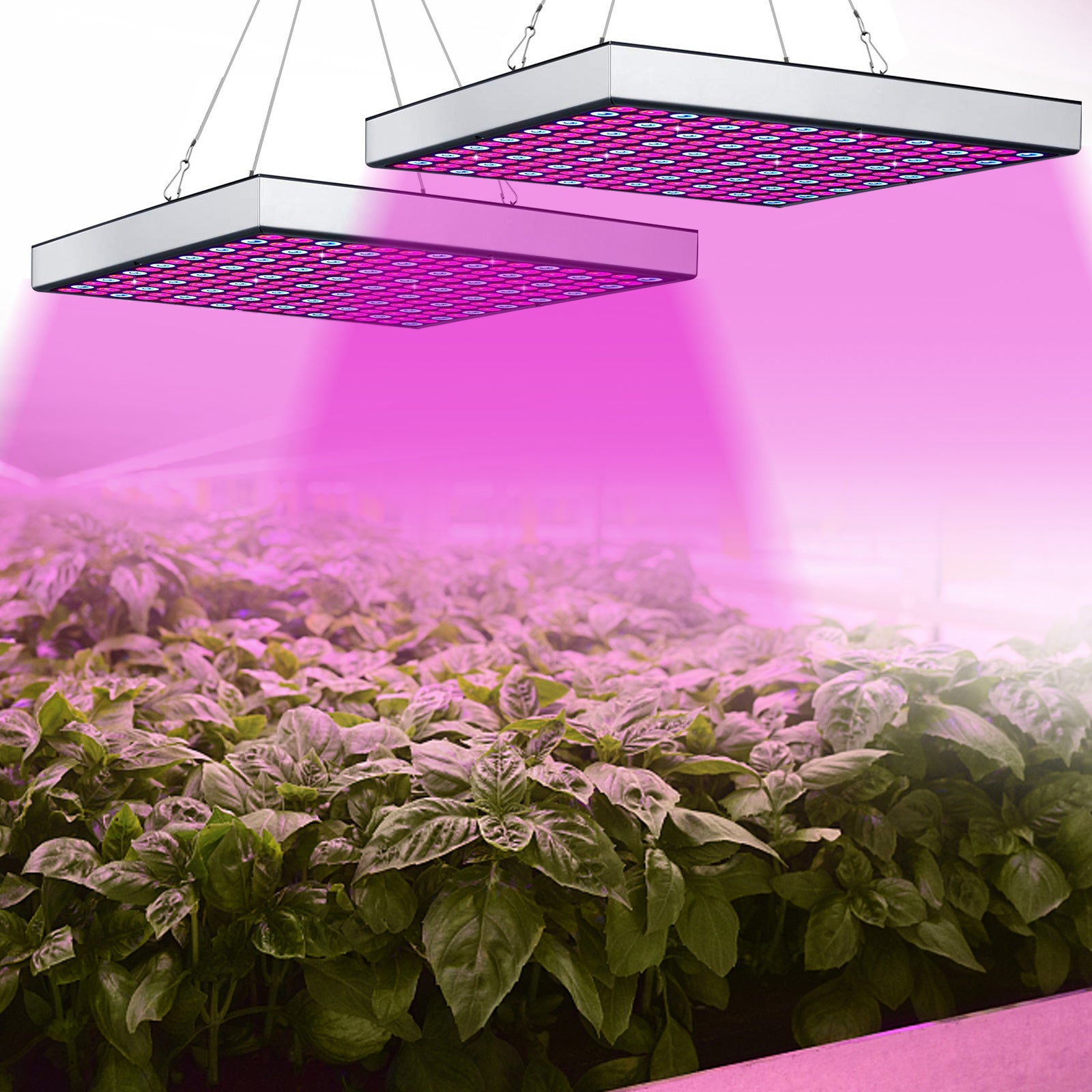 Lospitch LED Pflanzenlampe Vollspektrum für Zimmerpflanzen