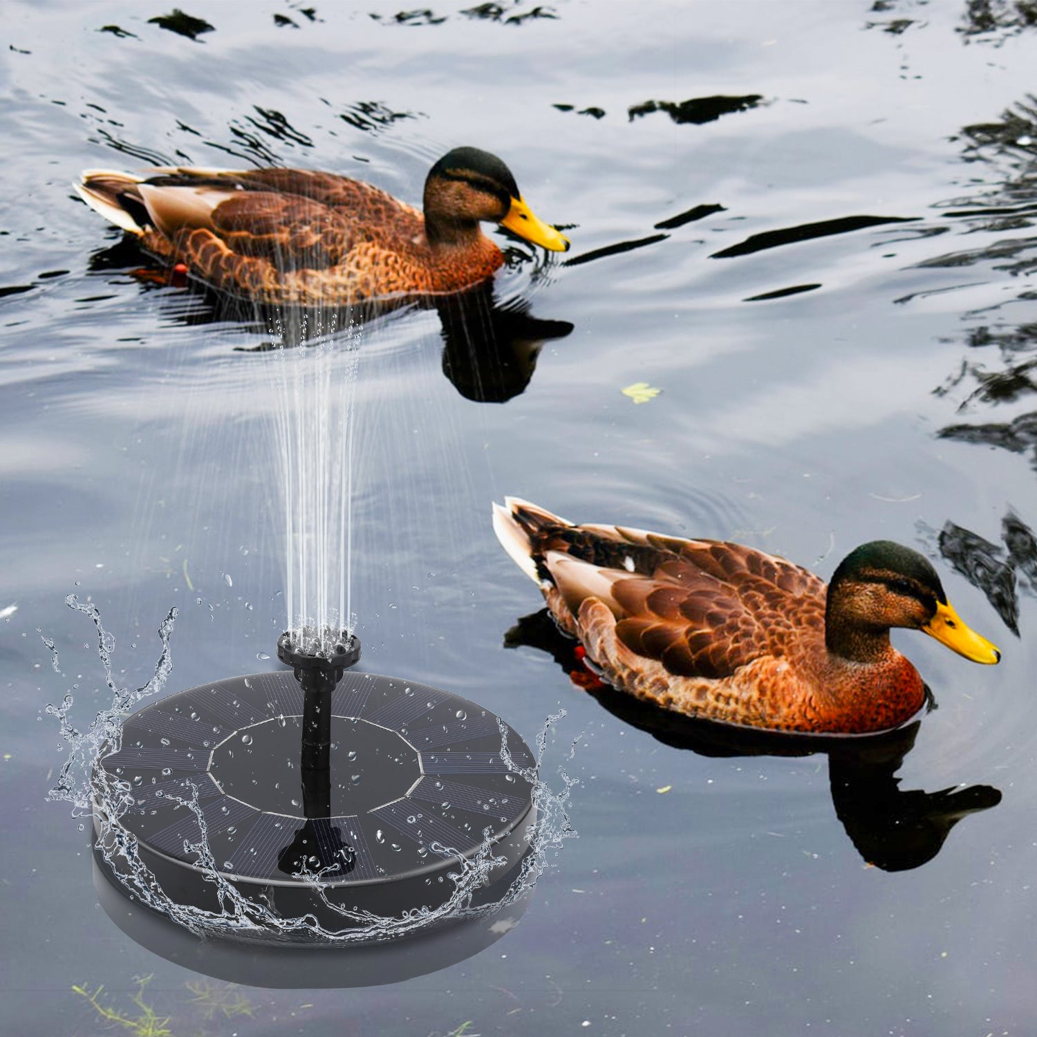 Lospitch Solar Springbrunnenpumpe für Teich