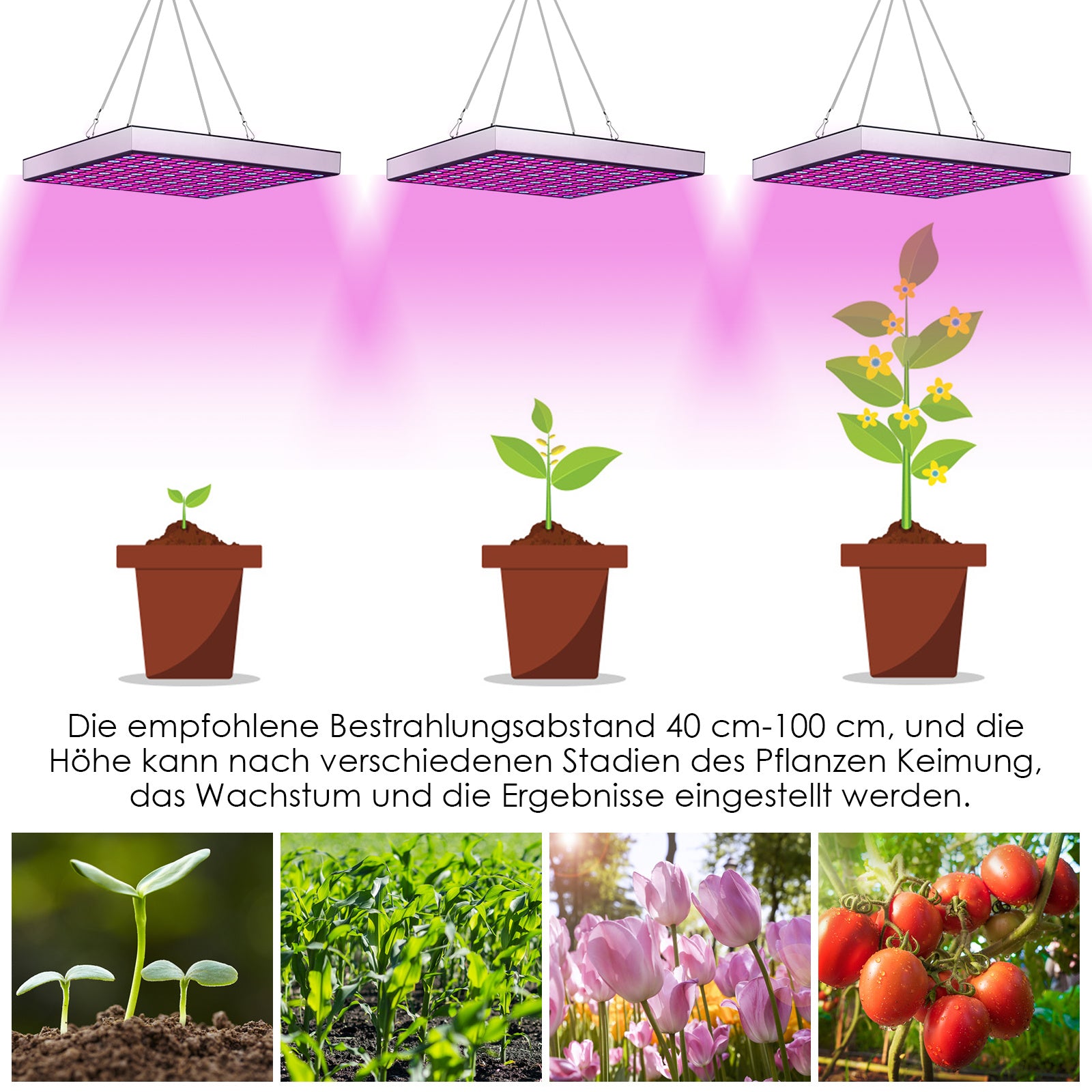 Lospitch LED Pflanzenlampe Vollspektrum für Zimmerpflanzen
