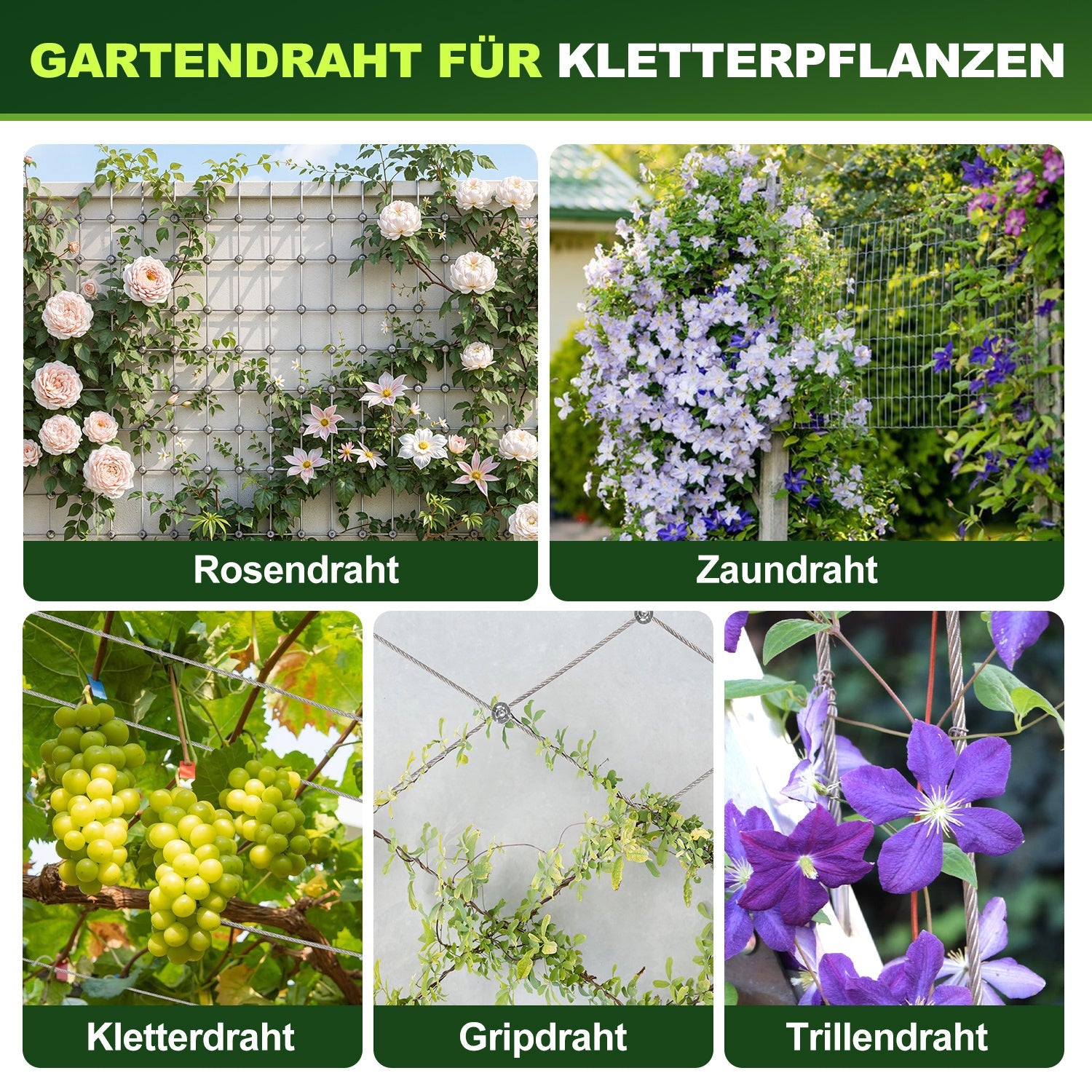 Lospitch Edelstahl Rankhilfe 12 m Set für Kletterpflanzen