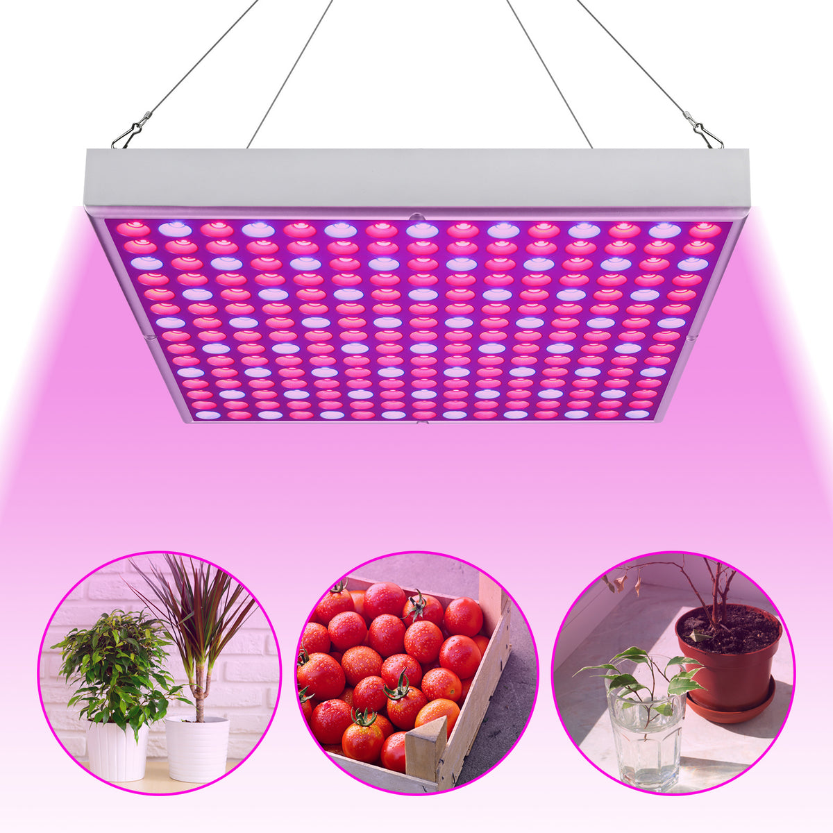 Lospitch LED Pflanzenlampe Vollspektrum für Zimmerpflanzen