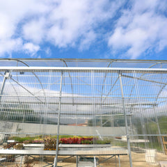 Lospitch Transparente Trapezplatten für Gewächshaus und Dach