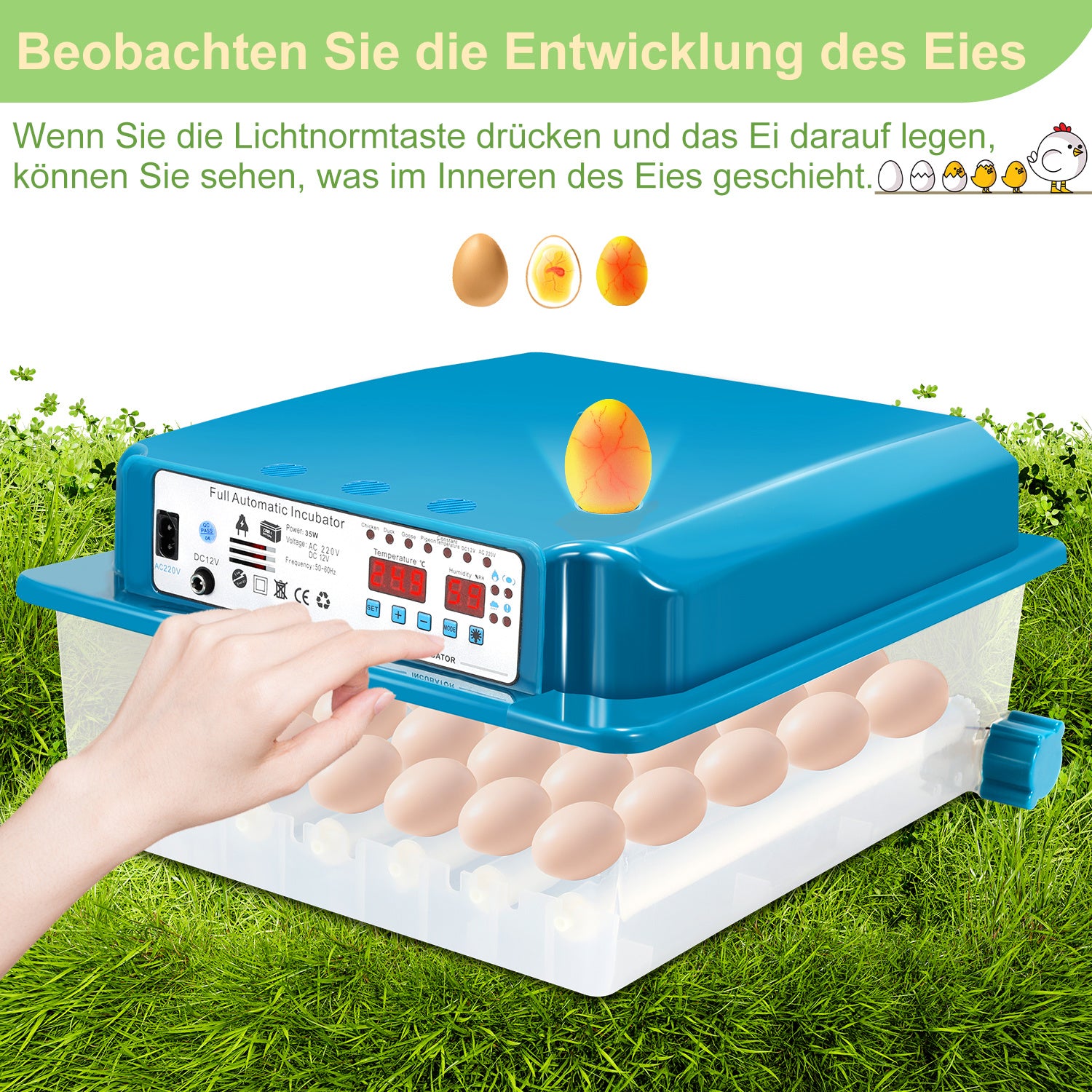 Lospitch Brutautomat 36 Eier vollautomatisch mit LED Eierbeleuchtung