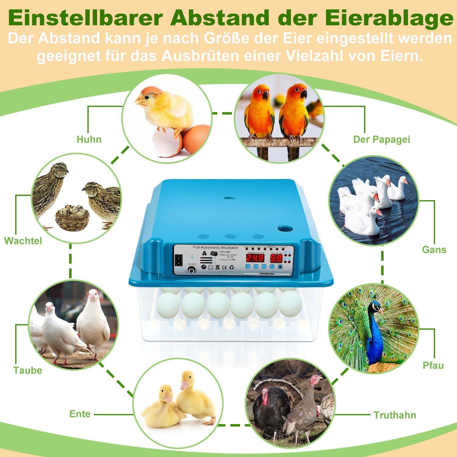Lospitch Brutautomat 36 Eier vollautomatisch mit LED Eierbeleuchtung