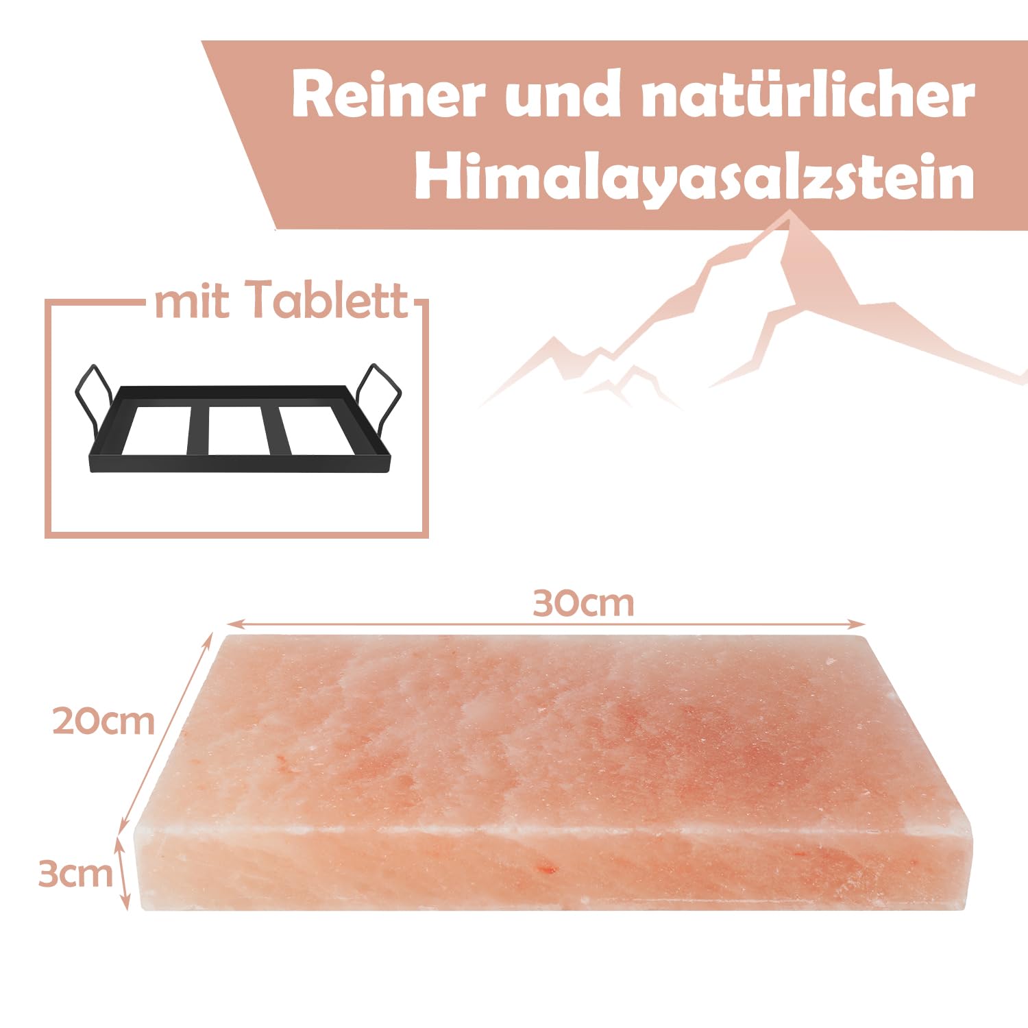 Lospitch Salzstein zum Grillen 20x30 cm Salzgrillstein mit Eisenplatte für BBQ