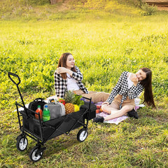 Lospitch Camping Bollerwagen faltbar mit Dach 80 kg Schwarz