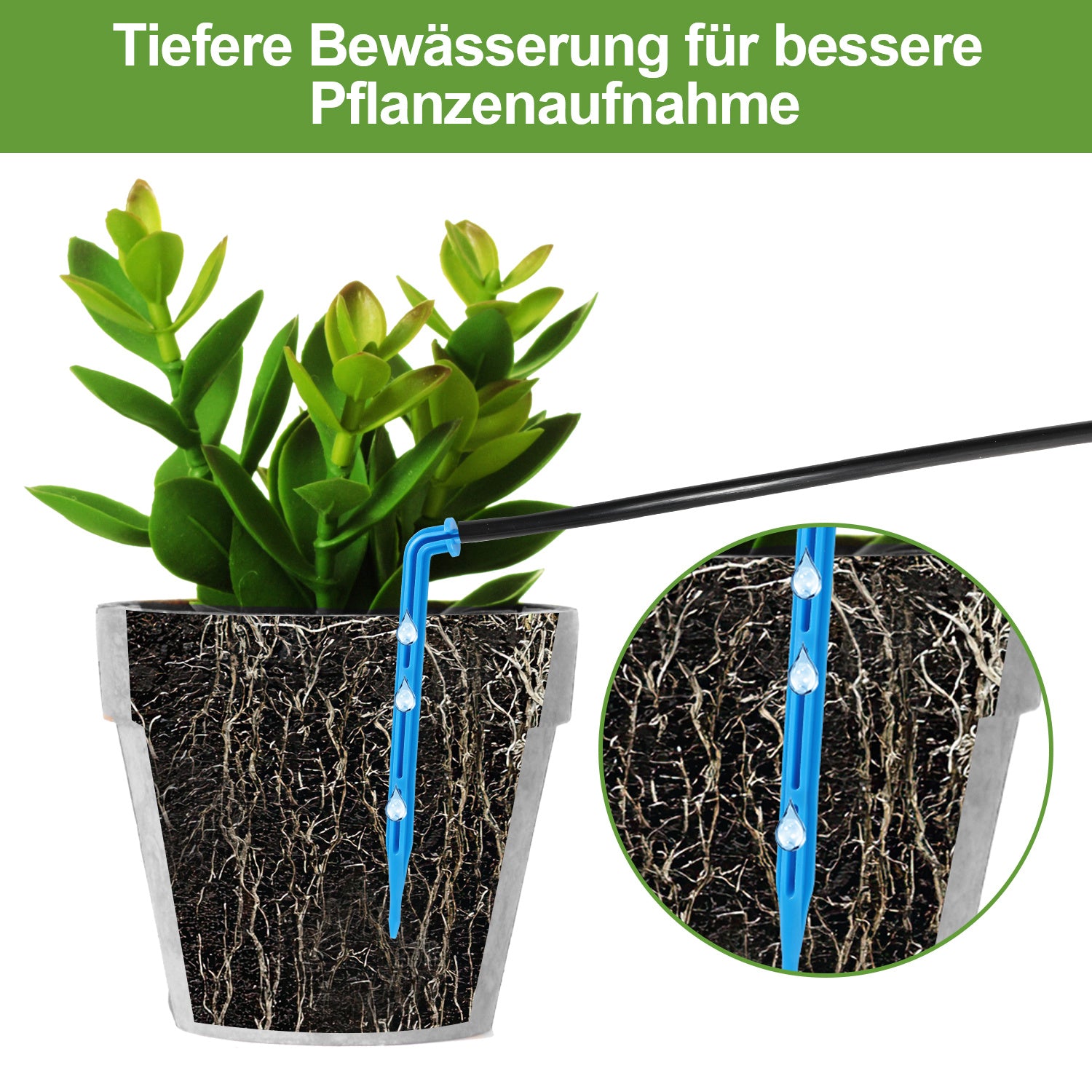 Lospitch Solar Bewässerungssystem für Pflanzen mit 20 Tropfern