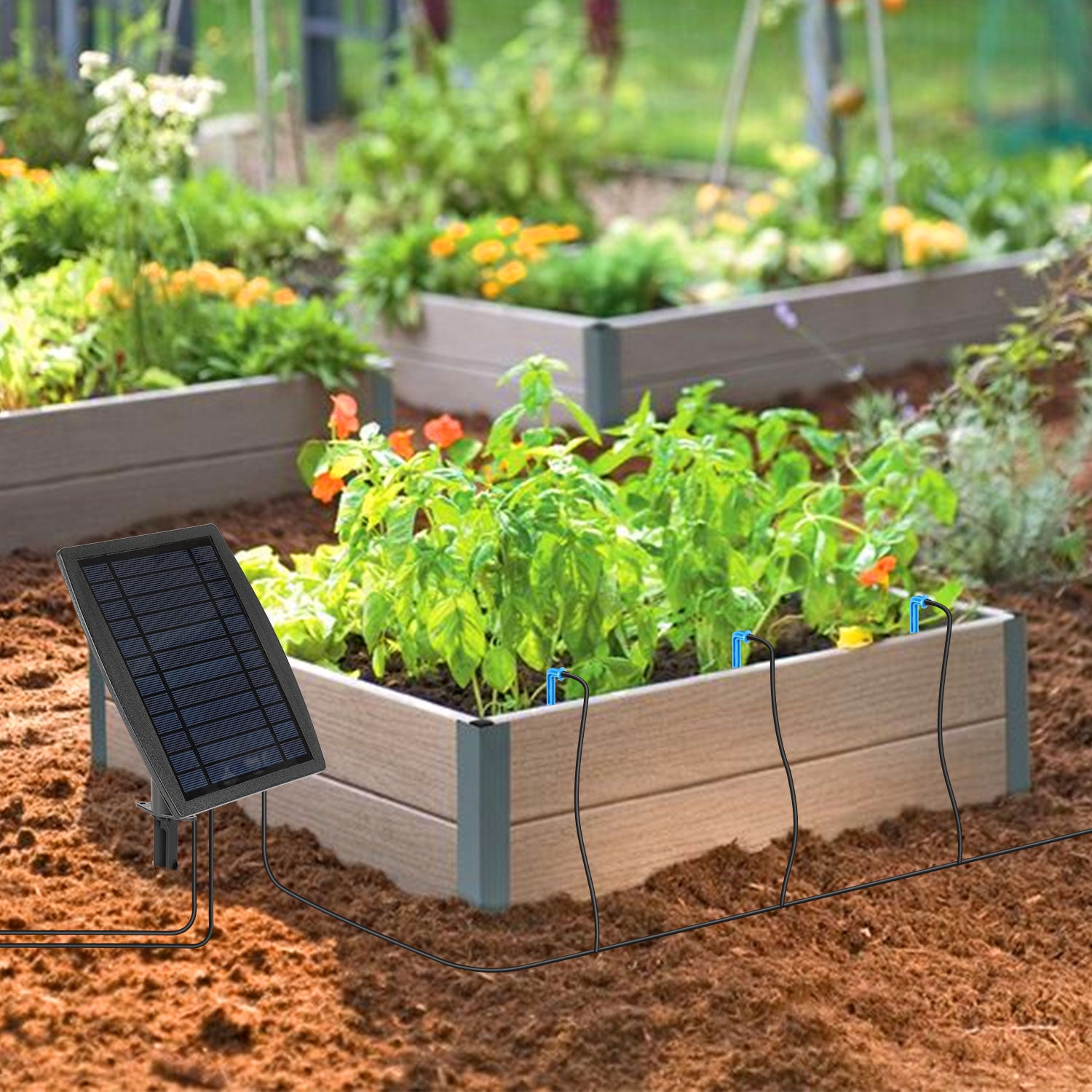 Lospitch Solar Bewässerungssystem für Pflanzen mit 20 Tropfern