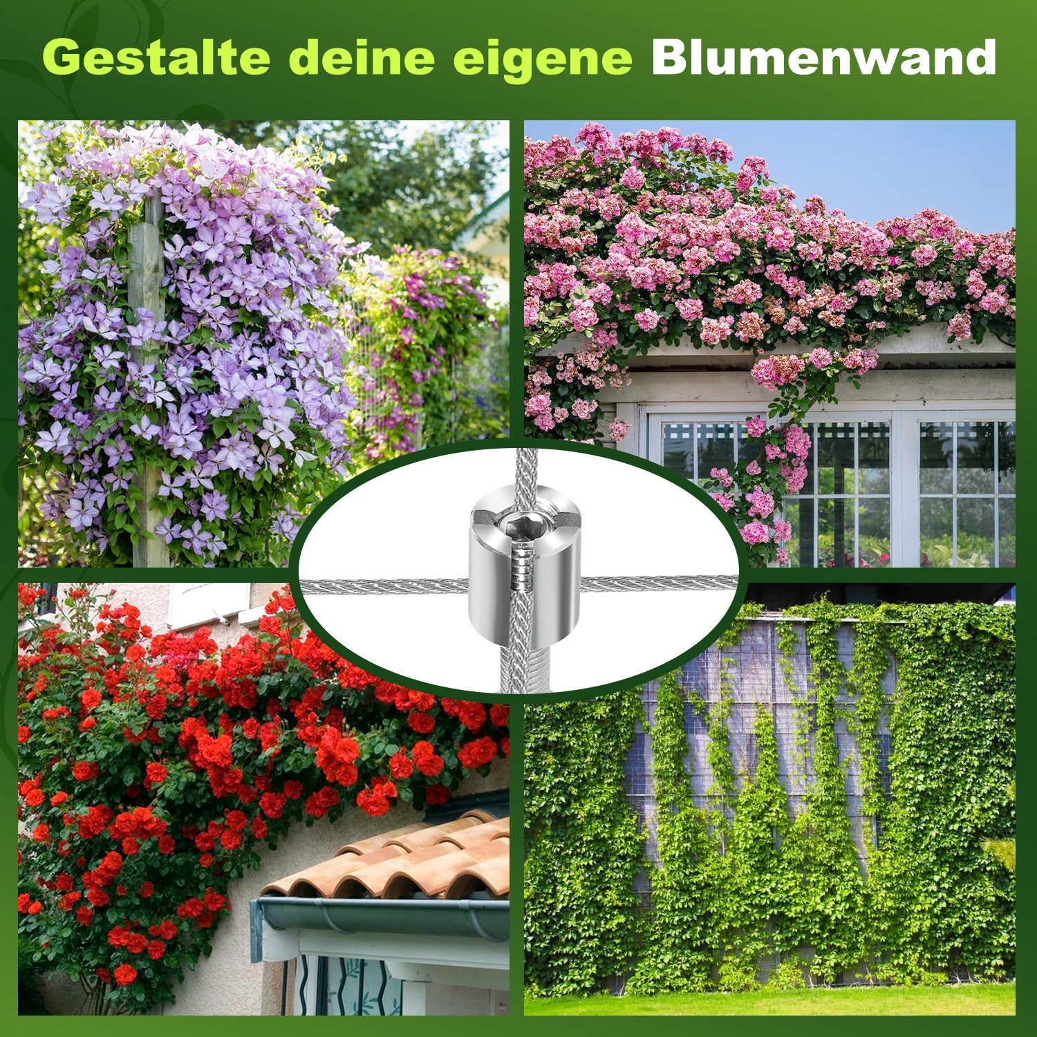 Lospitch Edelstahl Rankhilfe 12 m Set für Kletterpflanzen